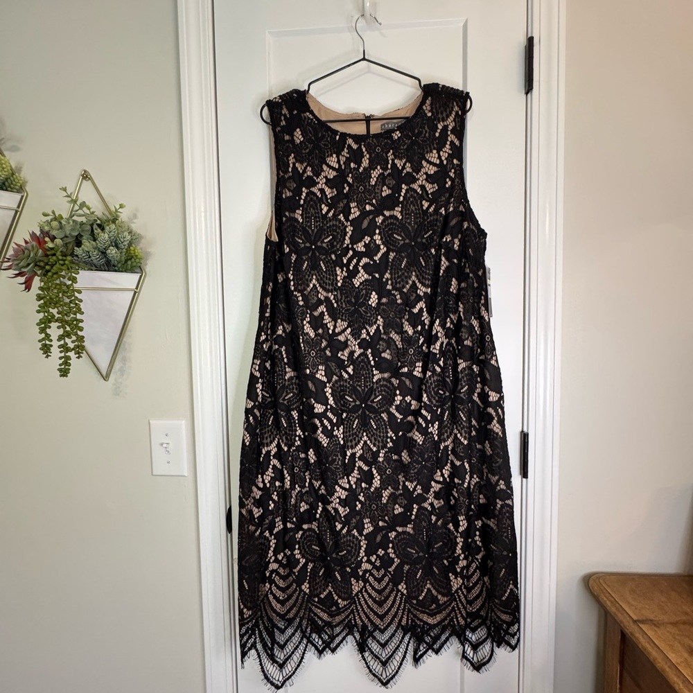 Sharagano Black Lace Overlay Midi Dress with Nude Lining - Picture 8 of 8